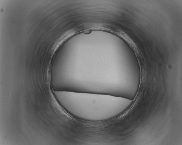 X0000086740806200704130731