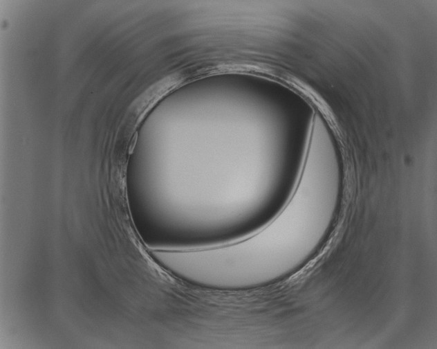 X0000086740809200704130731
