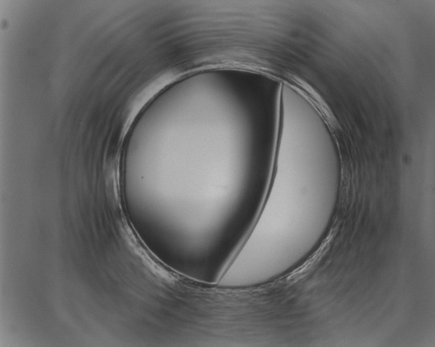 X0000086740812200704130731