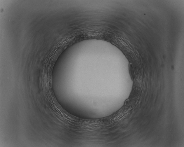 X0000086740817200704130730