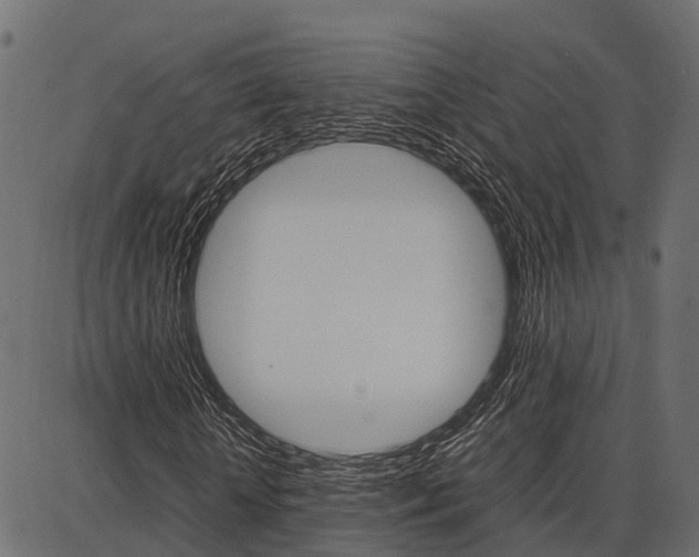 X0000086740818200704130730