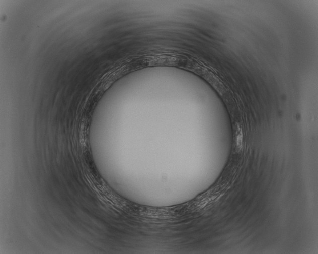 X0000086740819200704130730