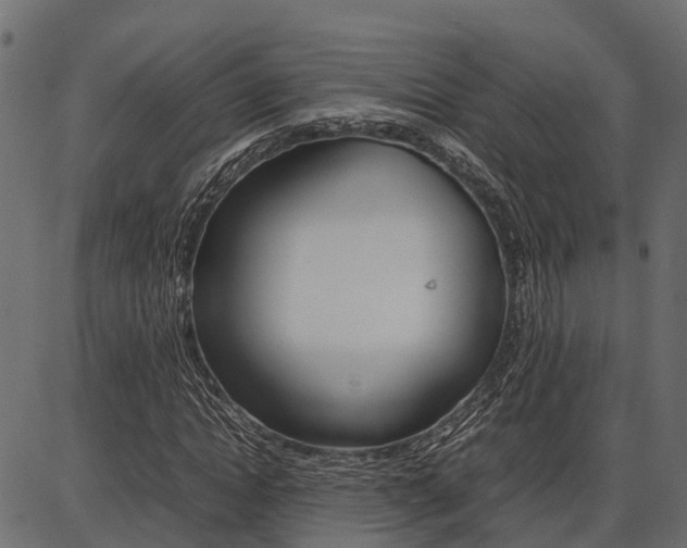 X0000086740822200704130730