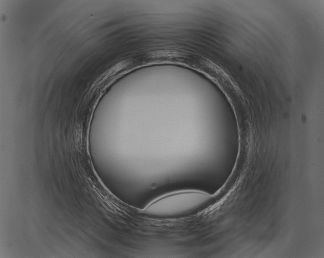 X0000086740825200704130730