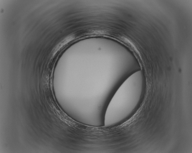 X0000086740827200704130730