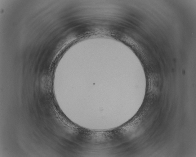 X0000086740828200704130730