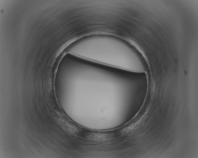 X0000086740829200704130730