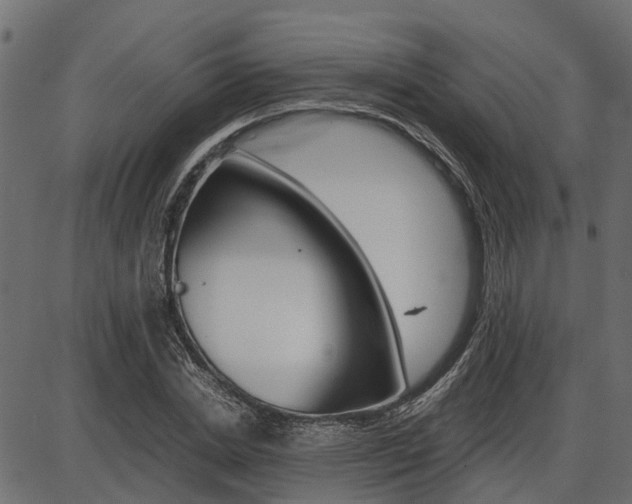 X0000086740830200704130730