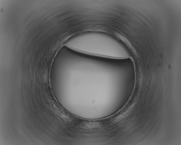 X0000086740833200704130730