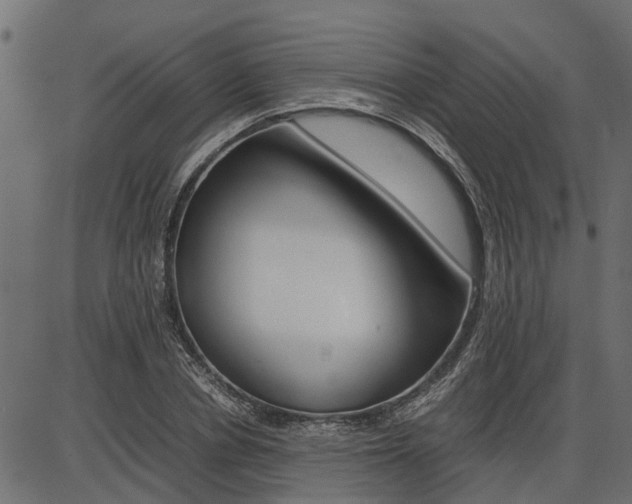X0000086740834200704130730