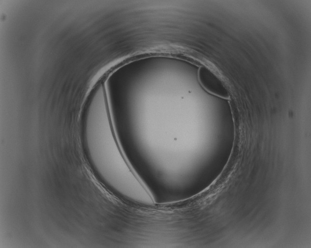X0000086740838200704130730