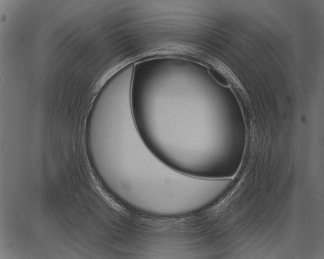 X0000086740842200704130730