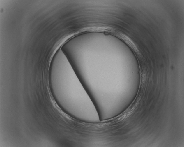 X0000086740844200704130730