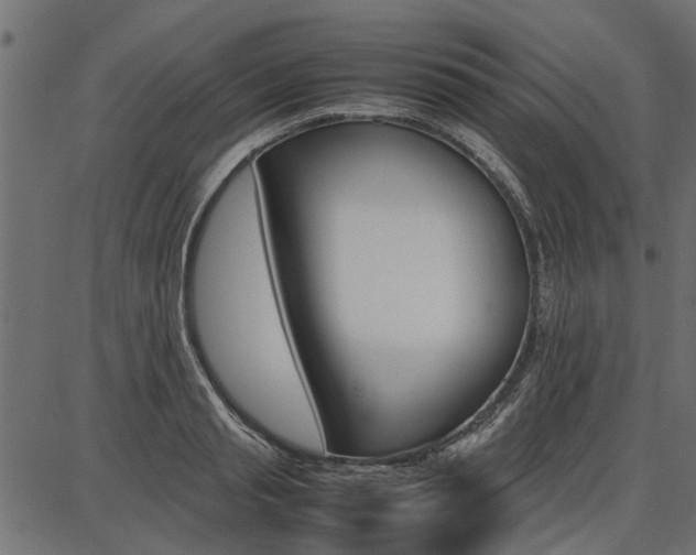 X0000086740845200704130730