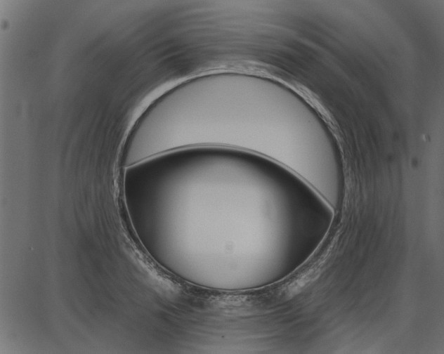 X0000086740846200704130730