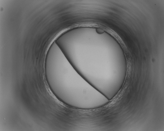 X0000086740852200704130730