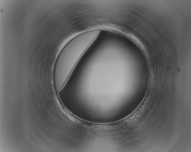 X0000086740862200704130731