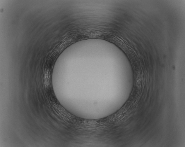 X0000086740866200704130730