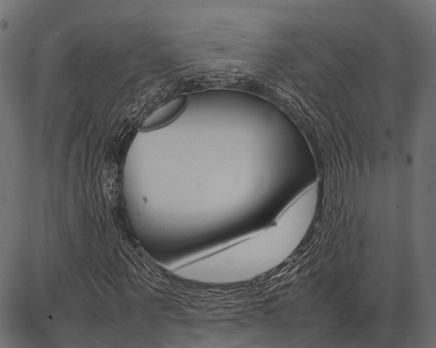X0000086740867200704130730