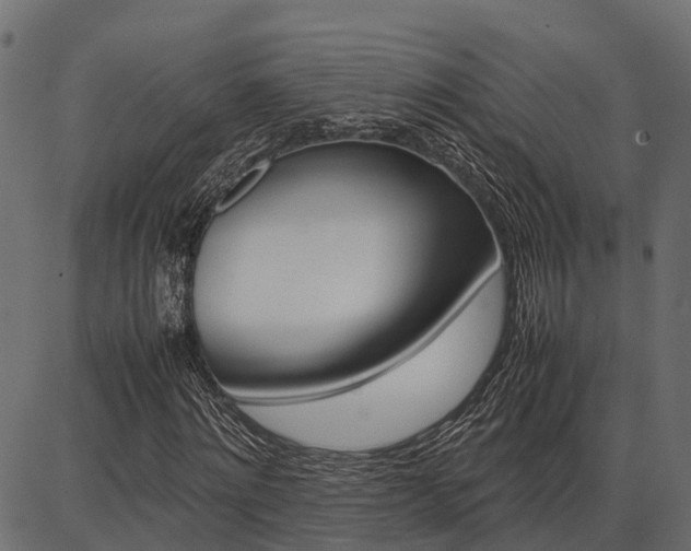 X0000086740868200704130730