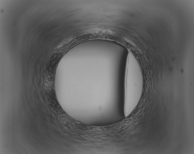 X0000086740869200704130730