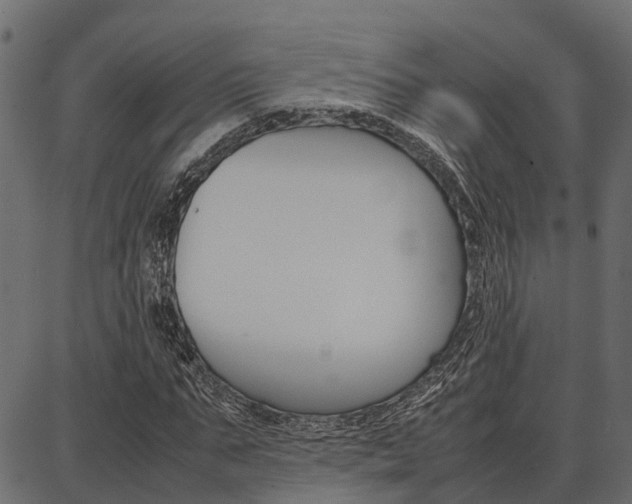 X0000086740871200704130730