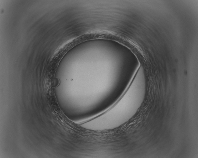 X0000086740872200704130730