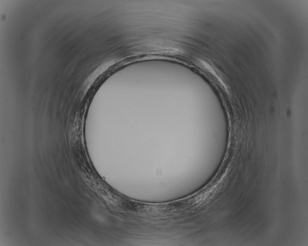 X0000086740875200704130730