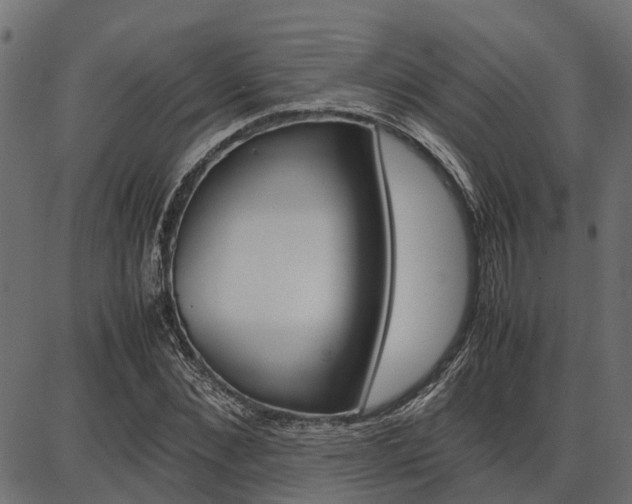 X0000086740876200704130730
