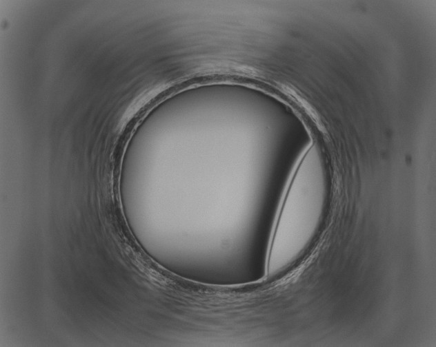 X0000086740877200704130730
