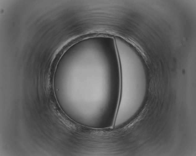 X0000086740880200704130730