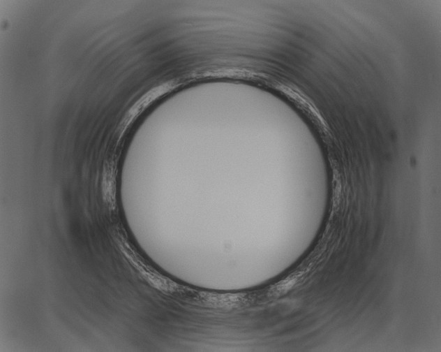 X0000086740882200704130730