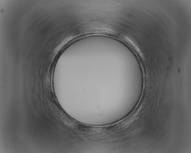 X0000086740883200704130730