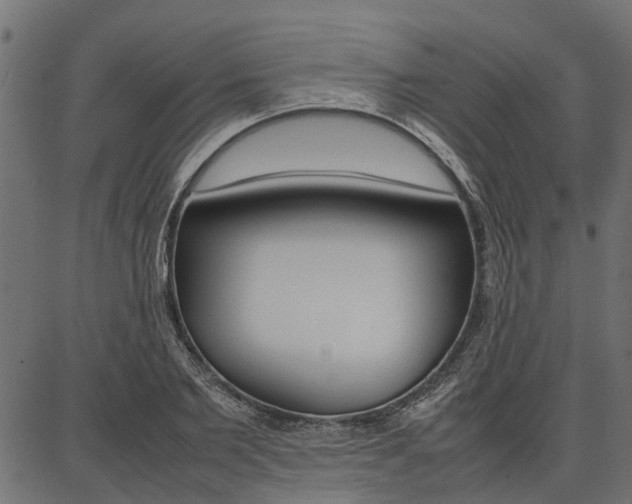 X0000086740885200704130730