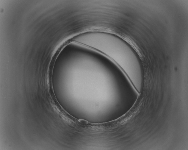 X0000086740888200704130730