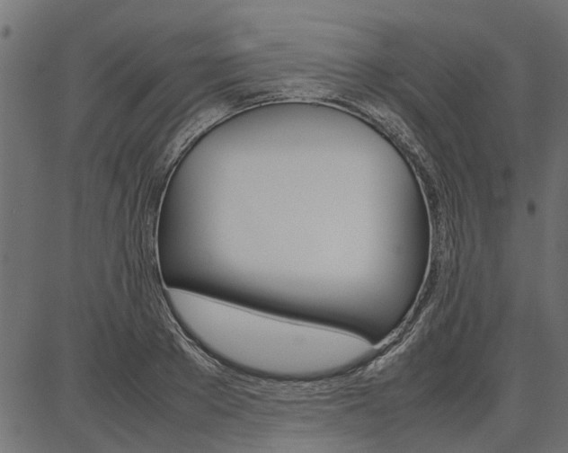 X0000086740889200704130729