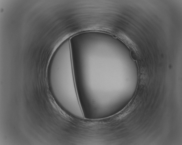 X0000086740892200704130729