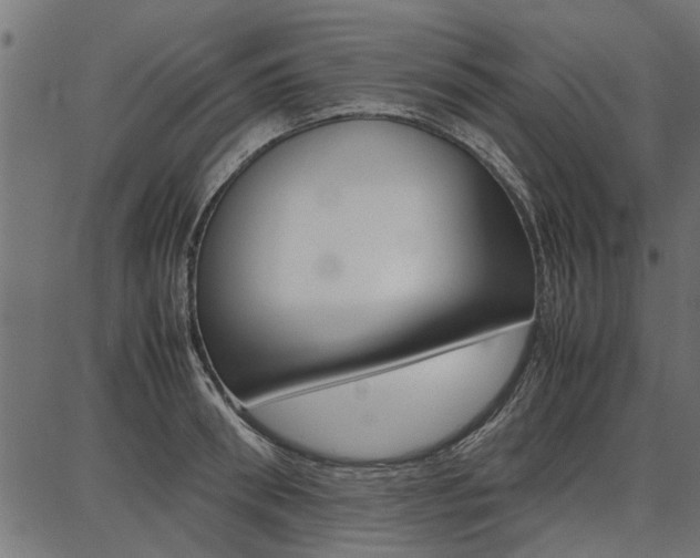 X0000086740898200704130729