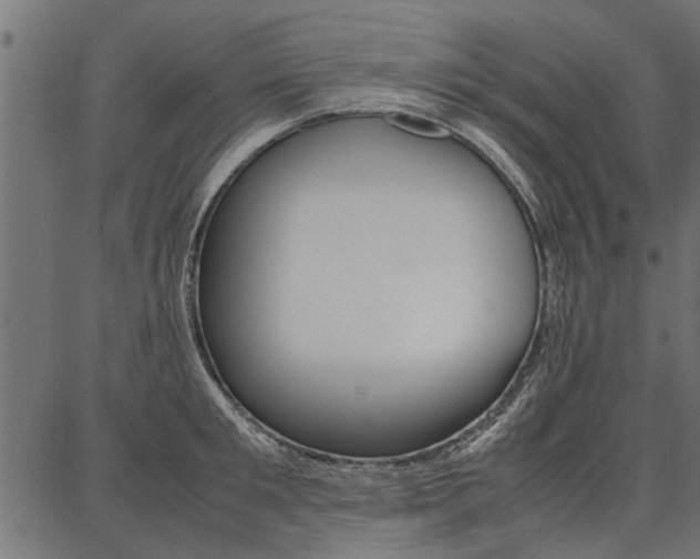 X0000086740901200704130729
