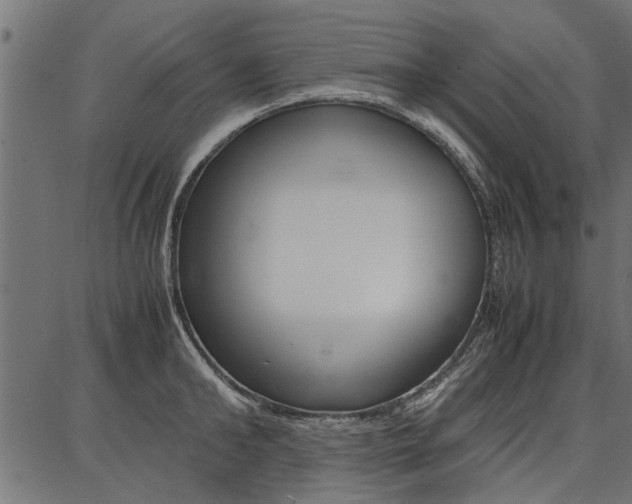 X0000086740902200704130729