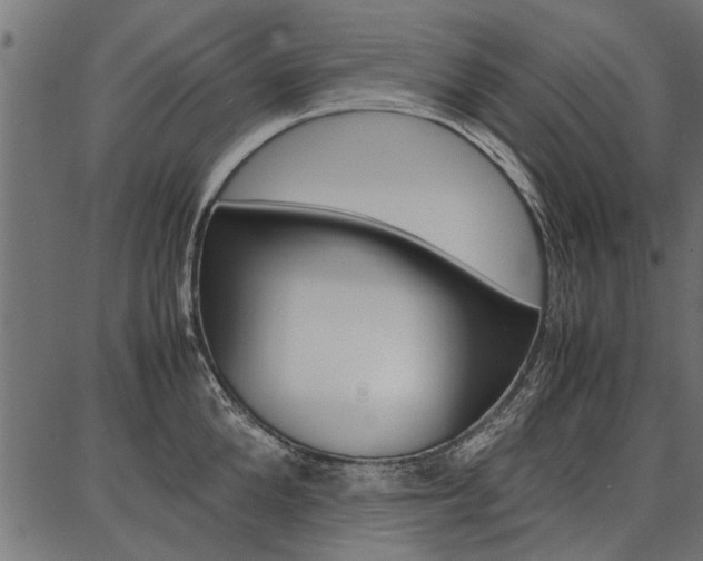 X0000086740904200704130729