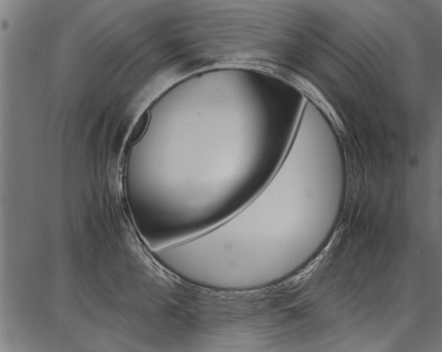 X0000086740908200704130729