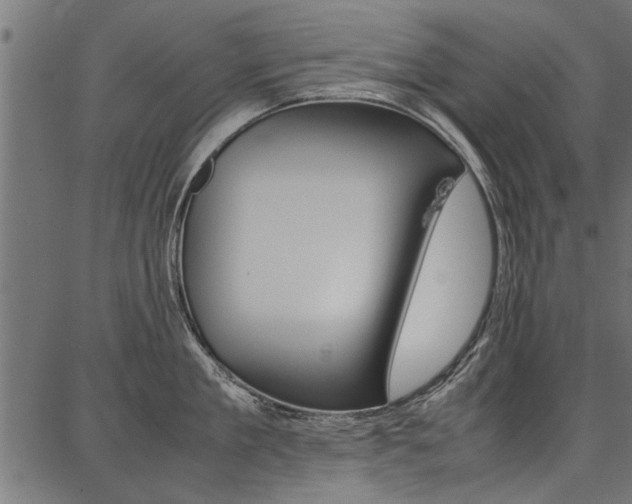 X0000086740909200704130729