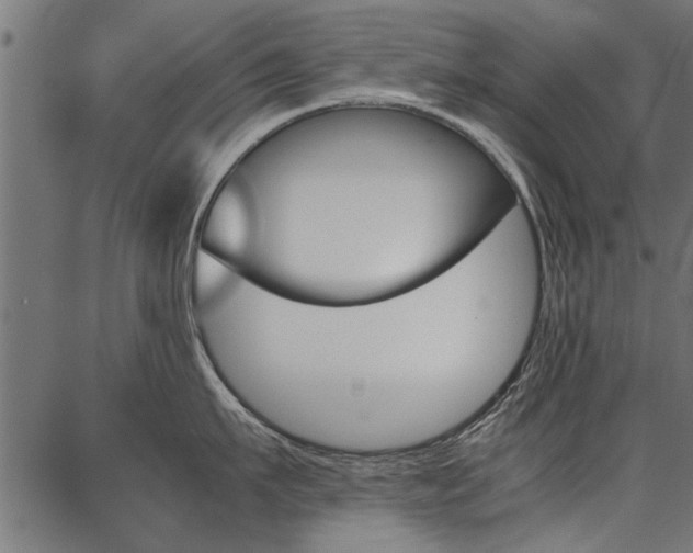 X0000086740911200704130729