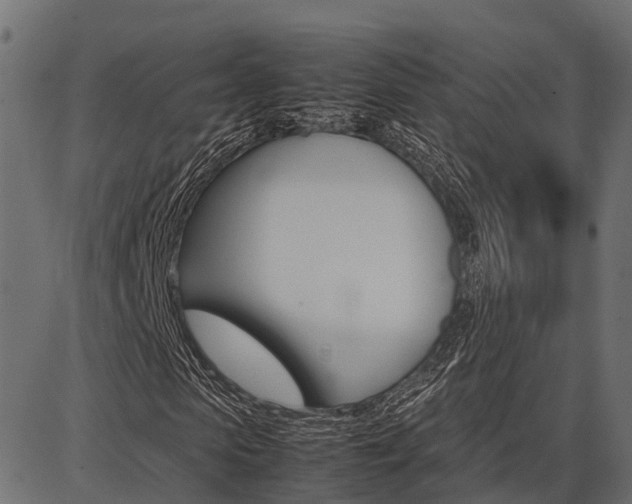 X0000086740913200704130728
