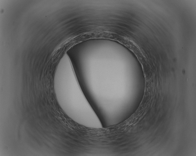 X0000086740919200704130728