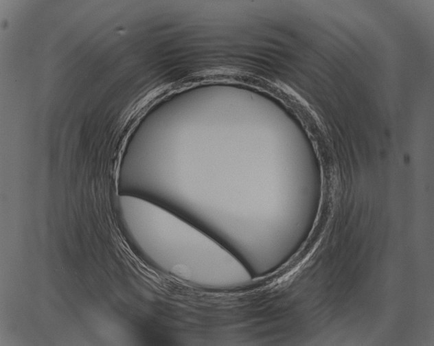 X0000086740921200704130728