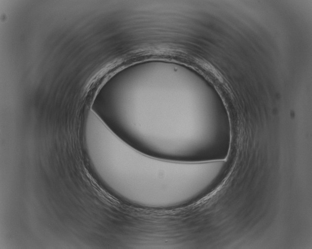 X0000086740922200704130728