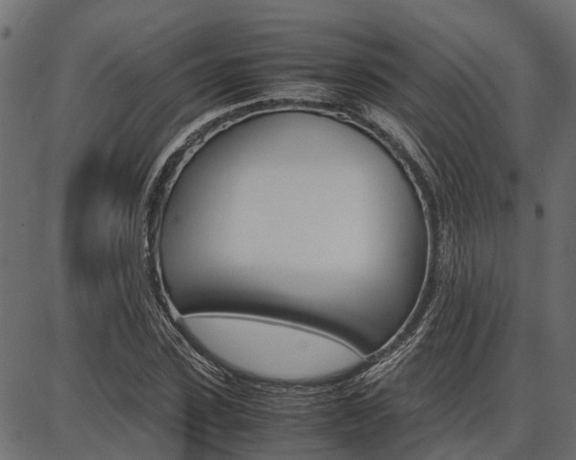 X0000086740923200704130728