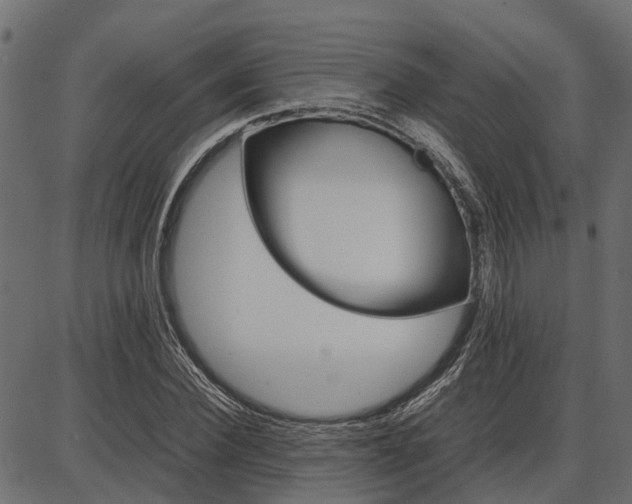 X0000086740924200704130728